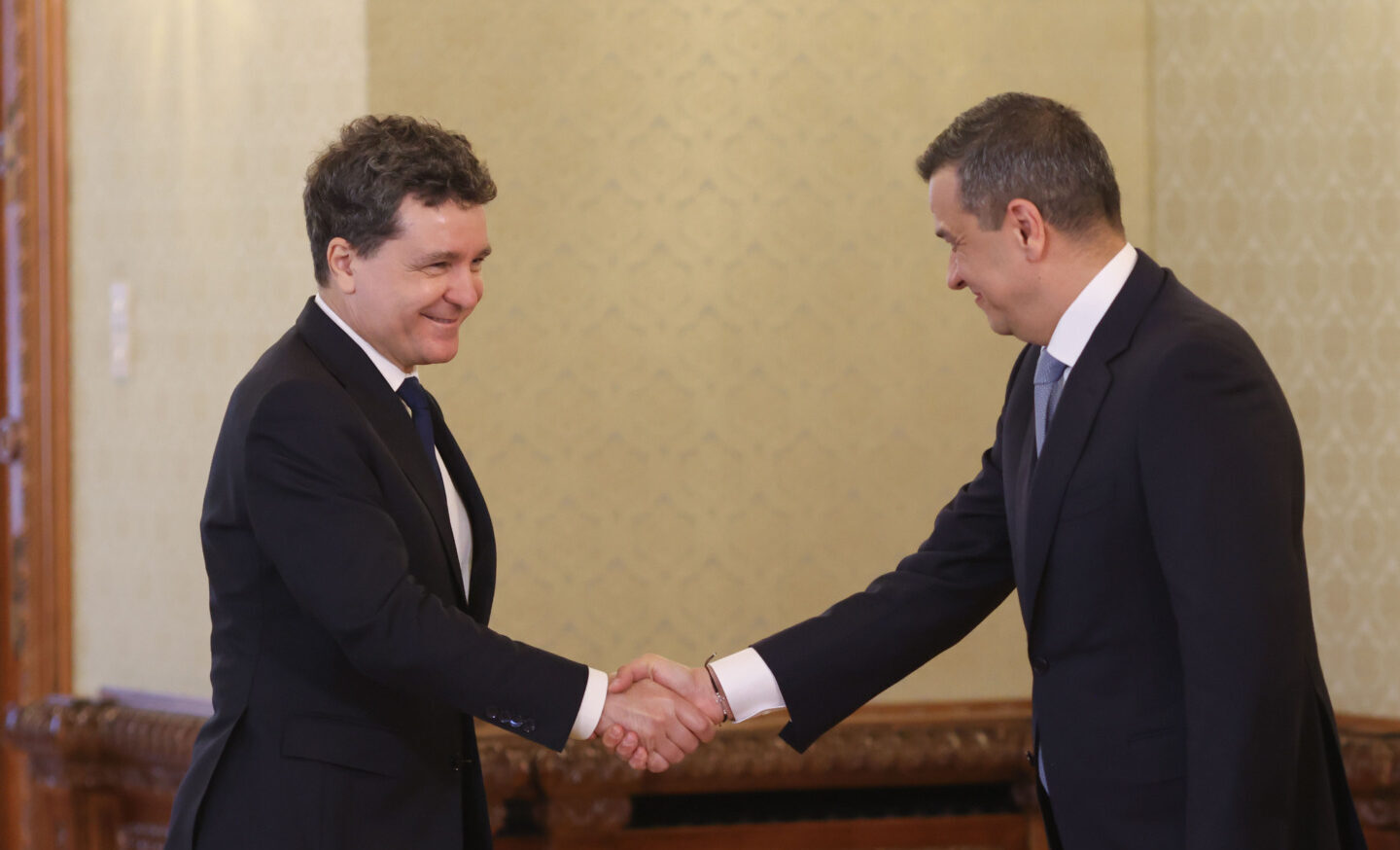 SURSE Președintele Nicușor Dan, iritat de PSD pentru că a blocat legile din PNRR