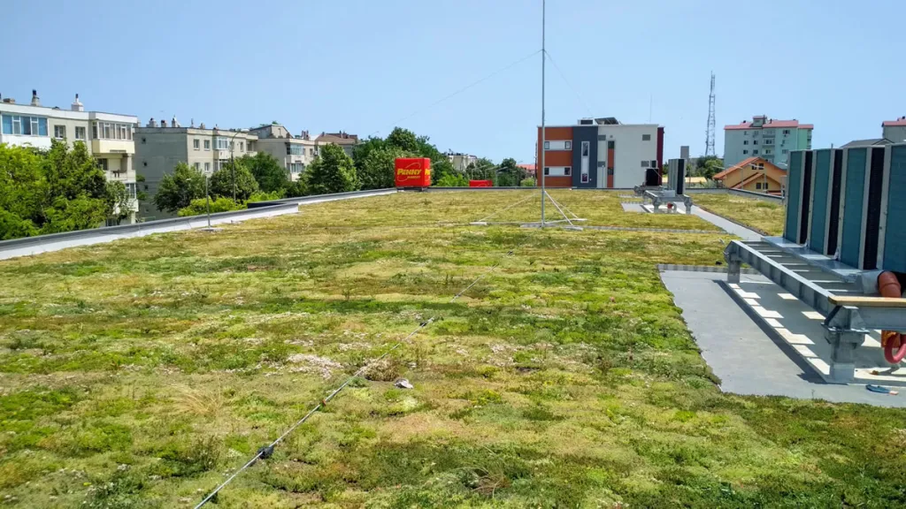 FOTO: Acoperișurile verzi devin obligatorii pentru anumite clădiri din 2027. Industria spune că piața poate crește de câteva ori