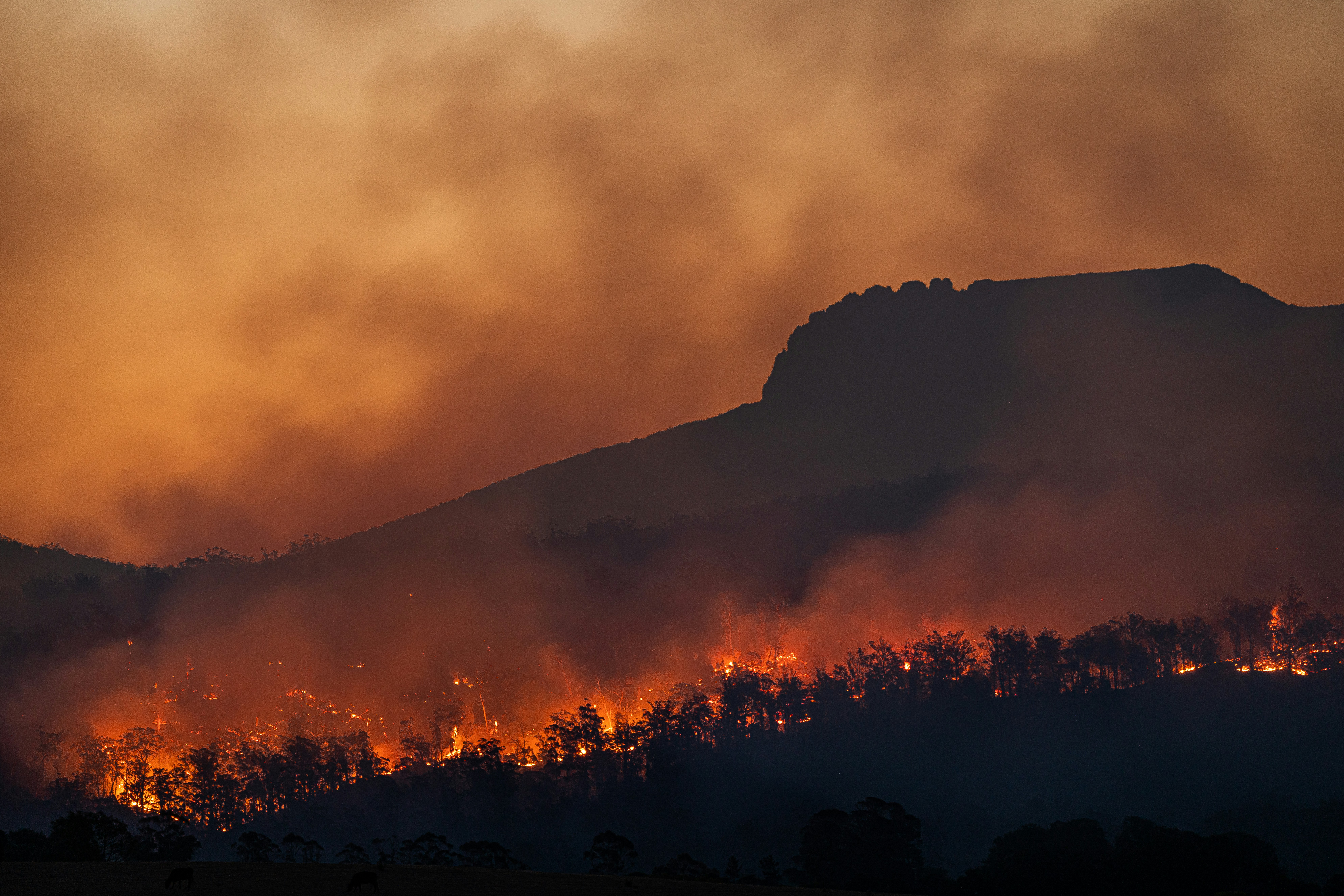 STUDIU | Fumul provenit de la incendiile de vegetație ar putea fi mai nociv sănătății decât alte forme de poluare a aerului