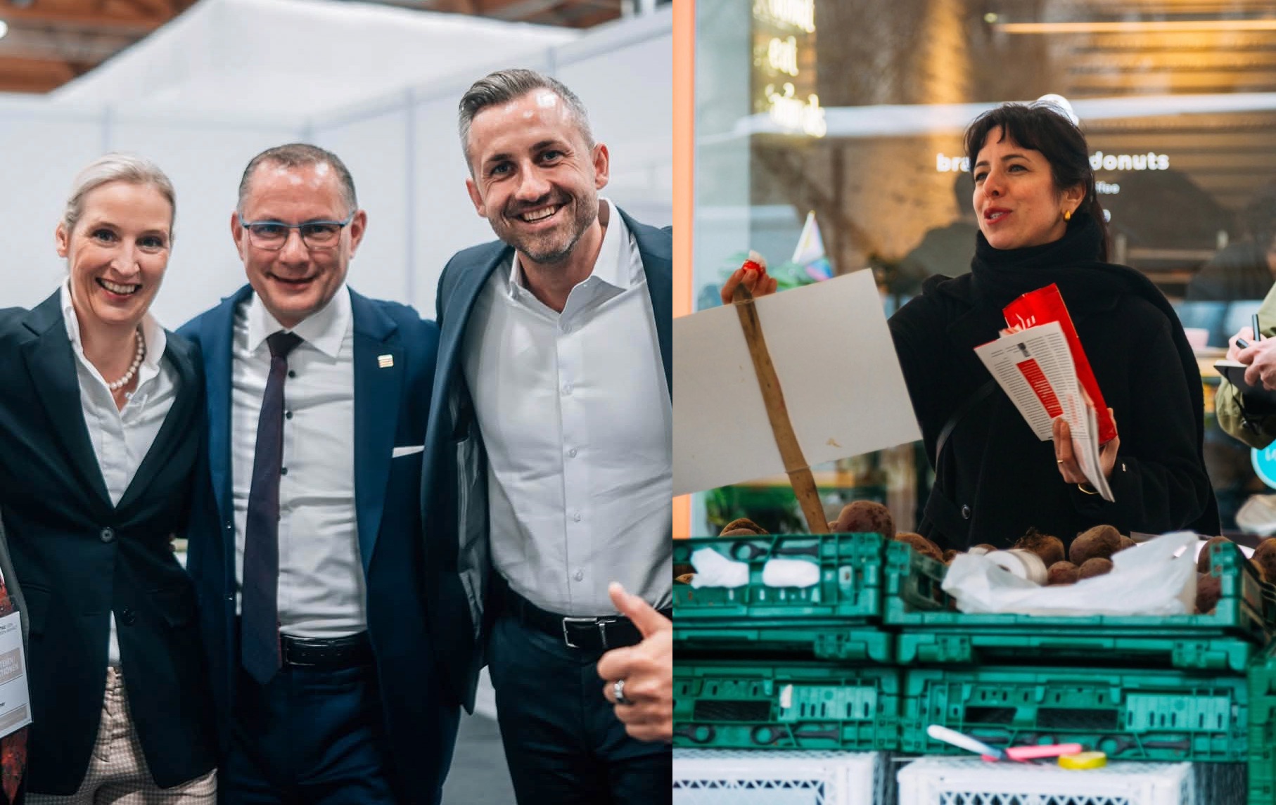Scena politică din Germania reamintește de anii 1930: asemănări și deosebiri