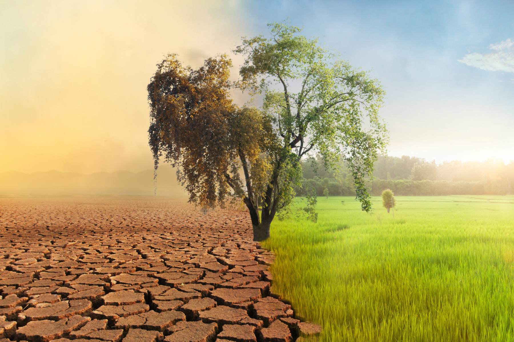 STUDIU: 8 din 10 români cred că schimbările climatice şi producerea unor fenomene meteorologice extreme au o legătură directă