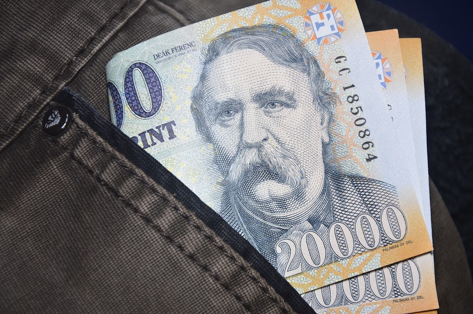 Aderarea Ungariei la zona euro este probabilă pentru anul 2032
